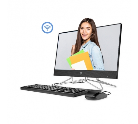ALL IN ONE HP 205 G4 23.8" AMD RYZEN 5  - 1