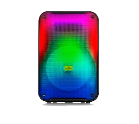 Parlante Eversound 3001 Flaming 12"  - 1