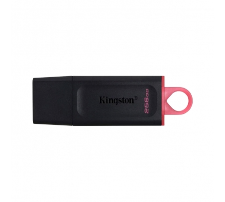 USB 3.2 KINGSTON 256GB EXODIA  - 1